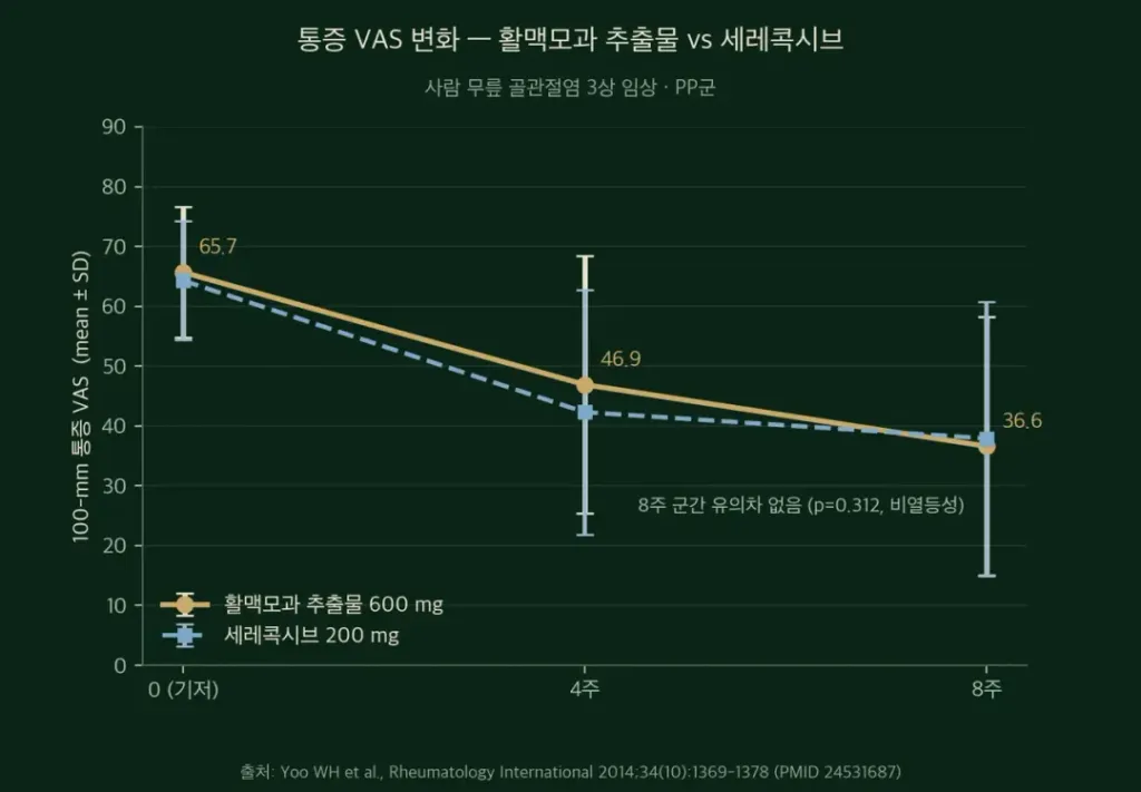 통증제어2.webp