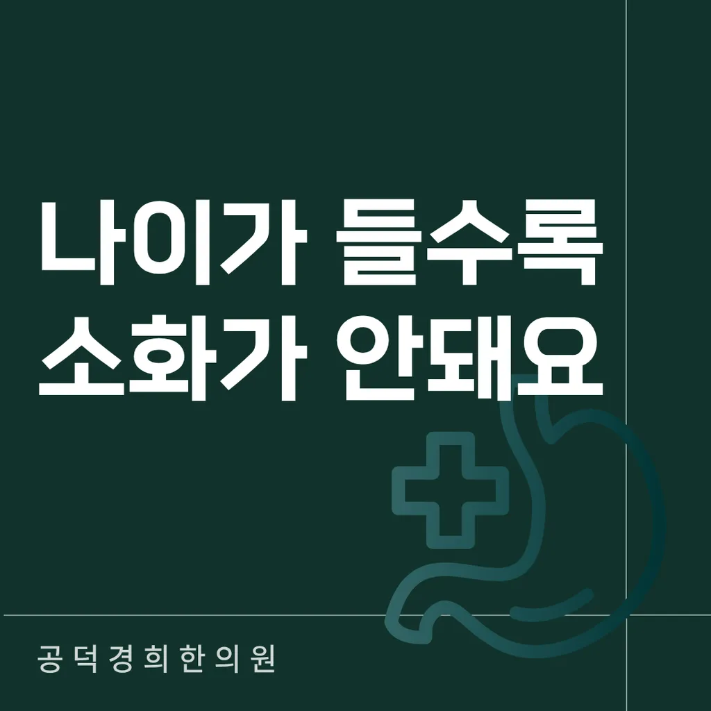공덕역 공덕경희한의원 소화불량 카드.png