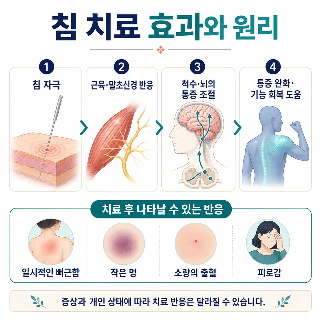 b4630505-c55c-4038-bdd7-bf6fe6919333.png
