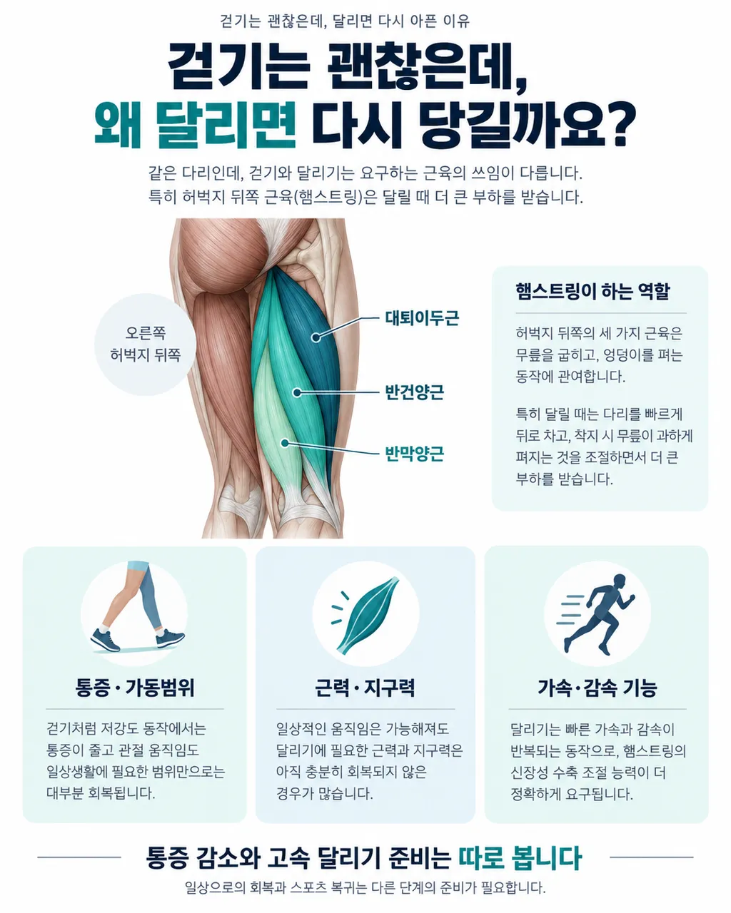 춘천 햄스트링 손상 파크경희한의원, 달리면 다시 당길 때의 한약과 운동복귀_01_인포그래픽.png