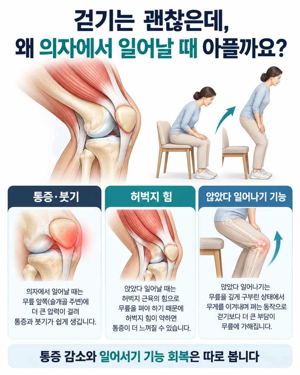 춘천 무릎 골관절염 파크경희한의원, 의자에서 일어날 때 통증의 한약과 근력운동_01_인포그래픽.png