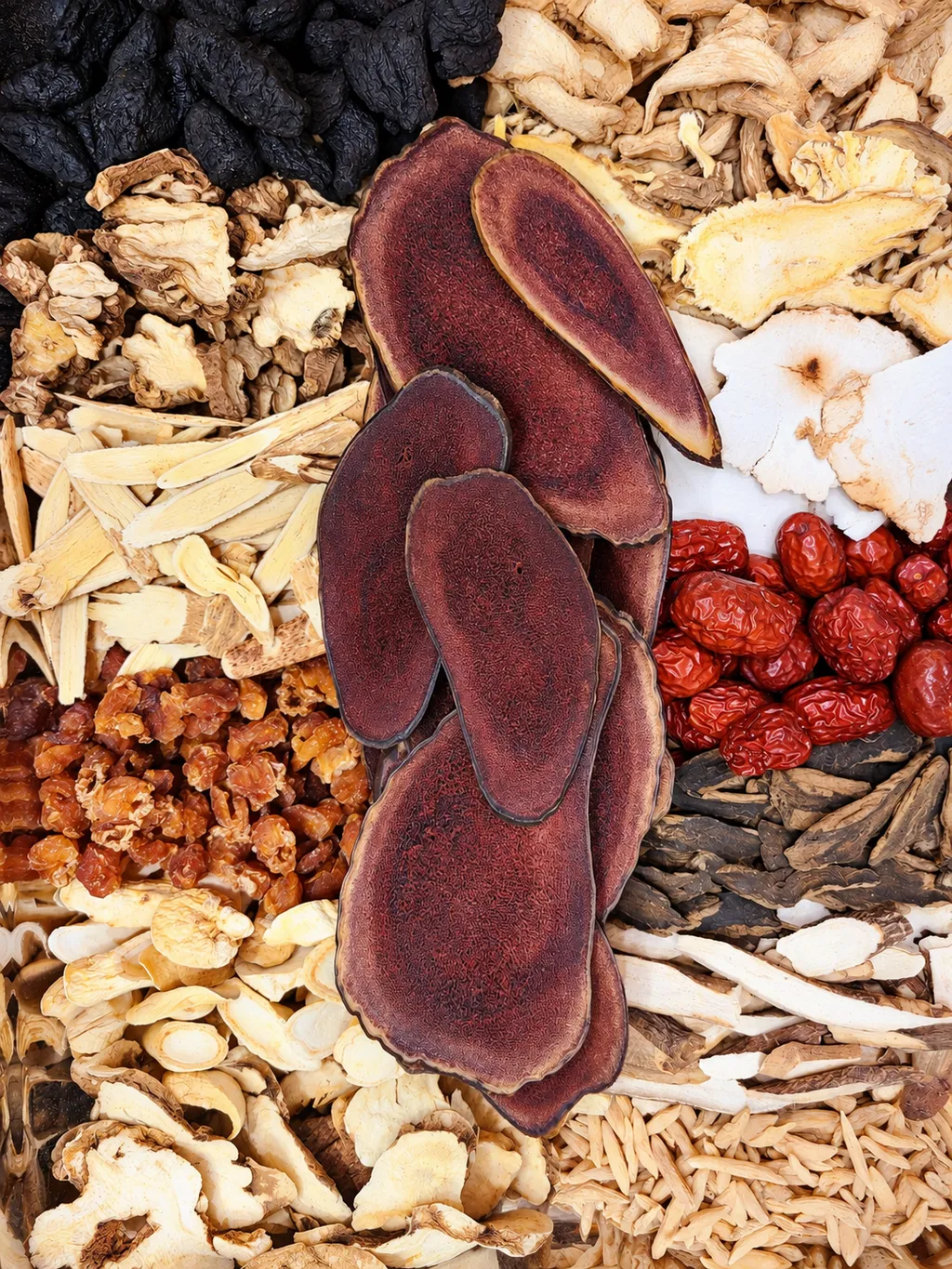 06_actual_herbs_polished.png