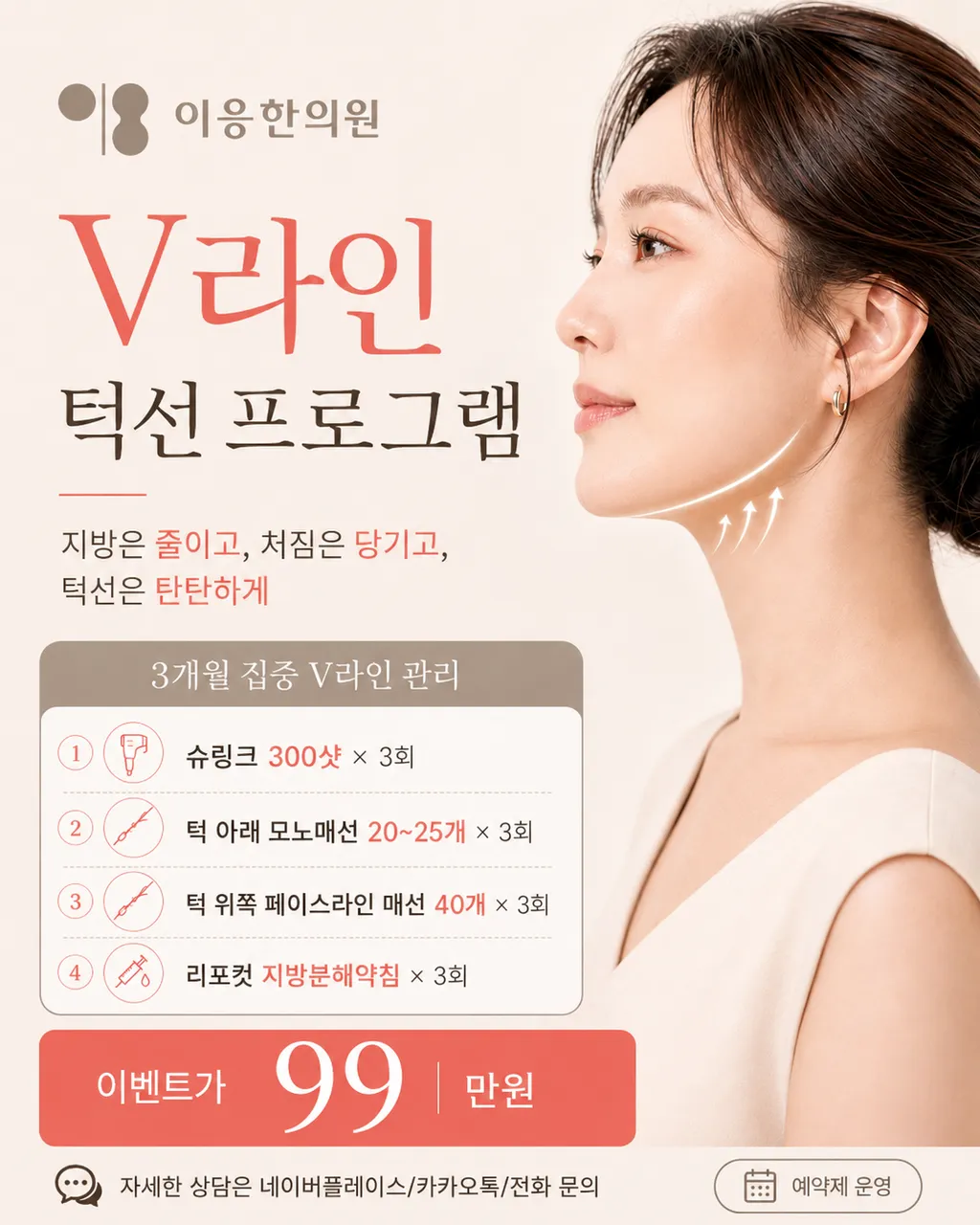 v라인 프로그램.png