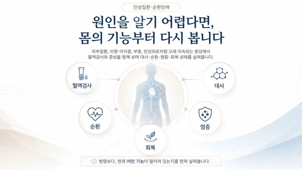 ChatGPT Image 2026년 9월 2일 오후 04_38_47 (1).png