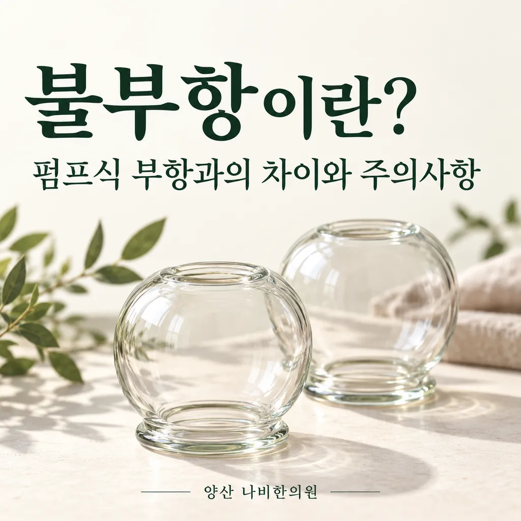 yangsan-fire-cupping-guide.png