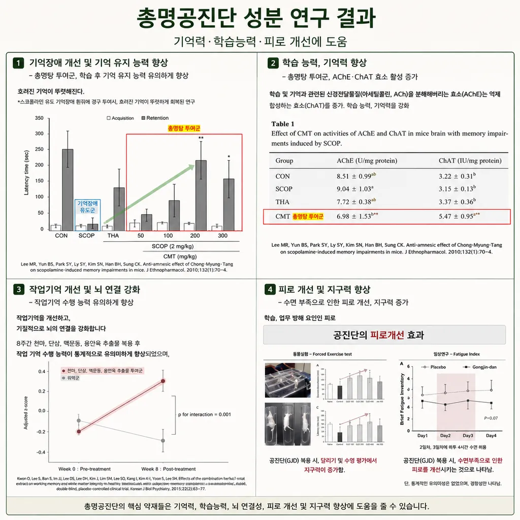 총명공진단 효과.png