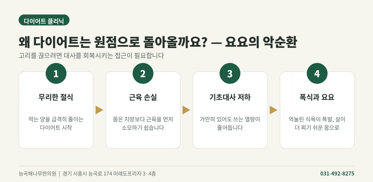 다이어트_01_요요악순환.png