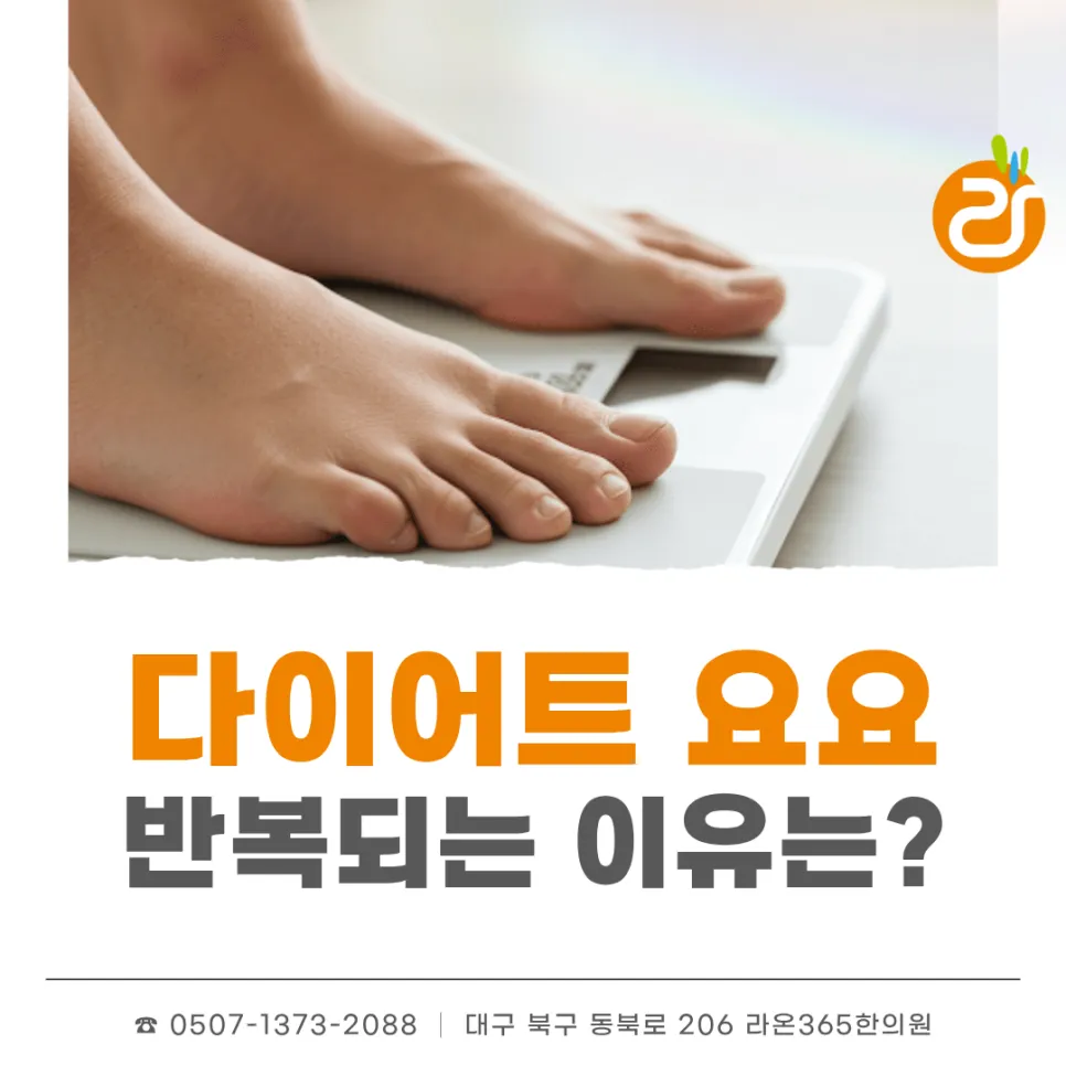 대구 복현동 다이어트 요요현상이 반복되는 진짜 이유 한방다이어트는 다를까?