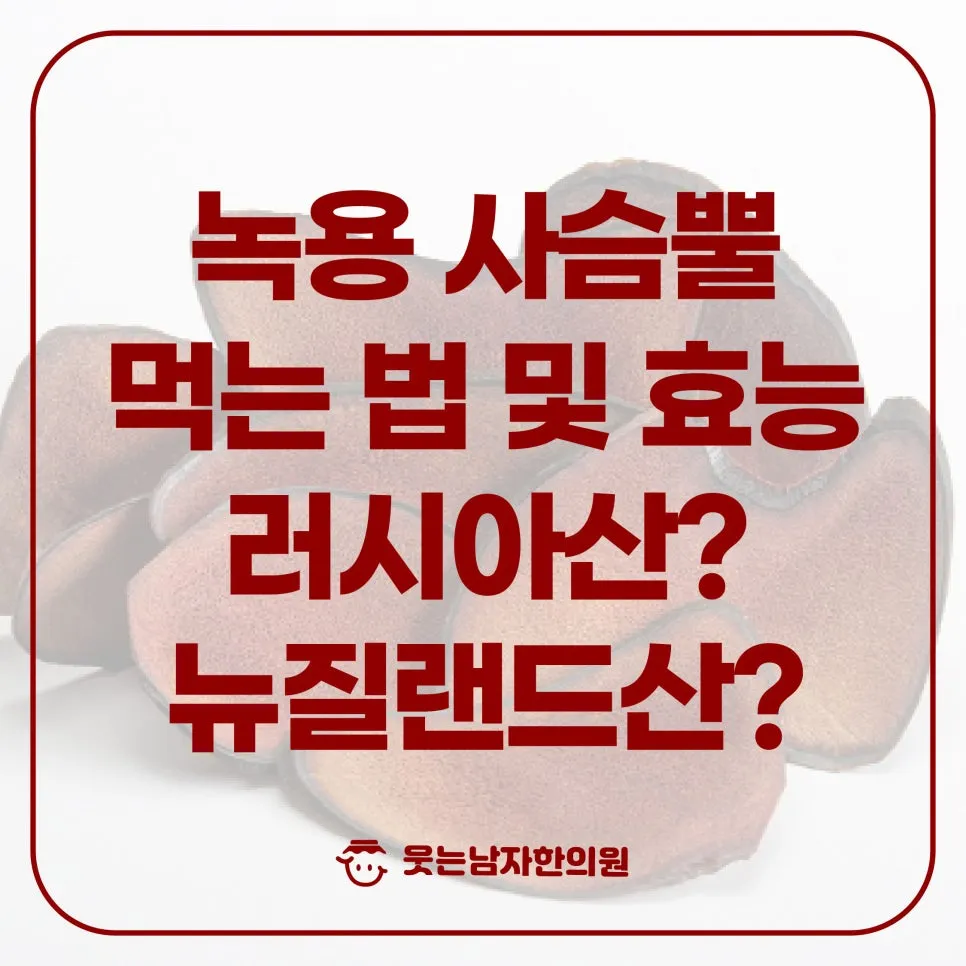 녹용 사슴뿔 먹는법 및 종류와 효능 러시아산? 뉴질랜드산?