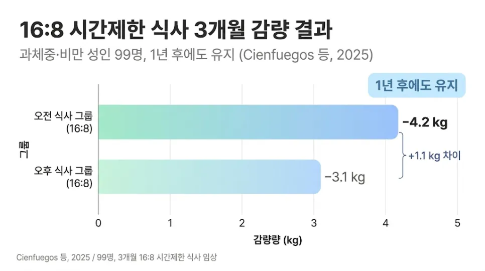 간헐적 단식의 효과? 하고 있는데도 살 안빠지는 이유