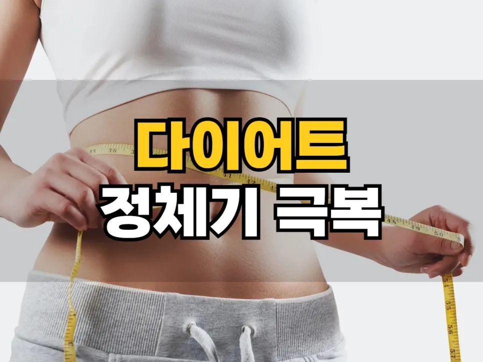 왜 이렇게 안 빠질까? 다이어트 정체기, 원인부터 극복까지!