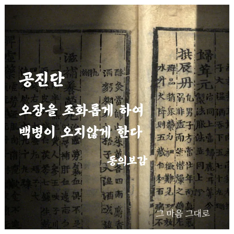 공진단 vs 경옥고 , 어떤 처방이 좋을까?