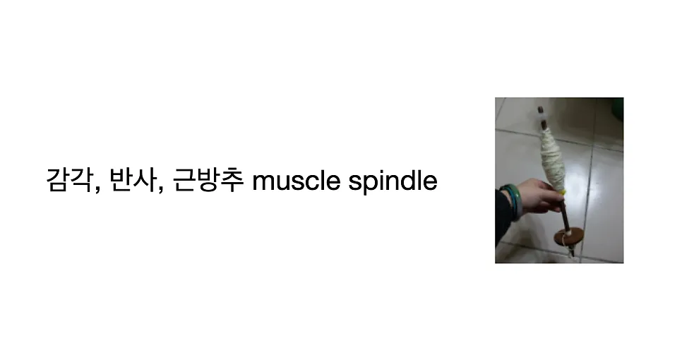 어깨를 펴고 똑바로 서라. (조던피터슨, 왜 바른 자세가 중요한가?)