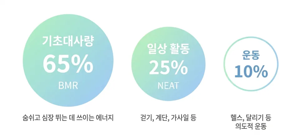 운동없이 다이어트, 가능하다? 불가능하다?