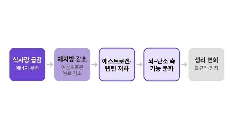 다이어트 중 생리가 불규칙한데  괜찮나요?