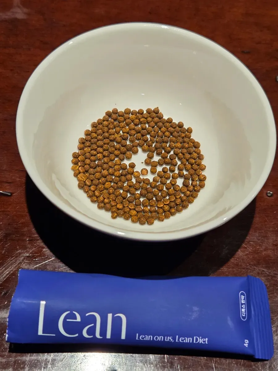 린다이어트 디톡스 2일차