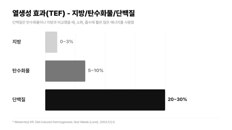 (부곡동 다이어트한의원 만세한의원) 다이어트 때 단백질 얼마나 먹어야하나요?
