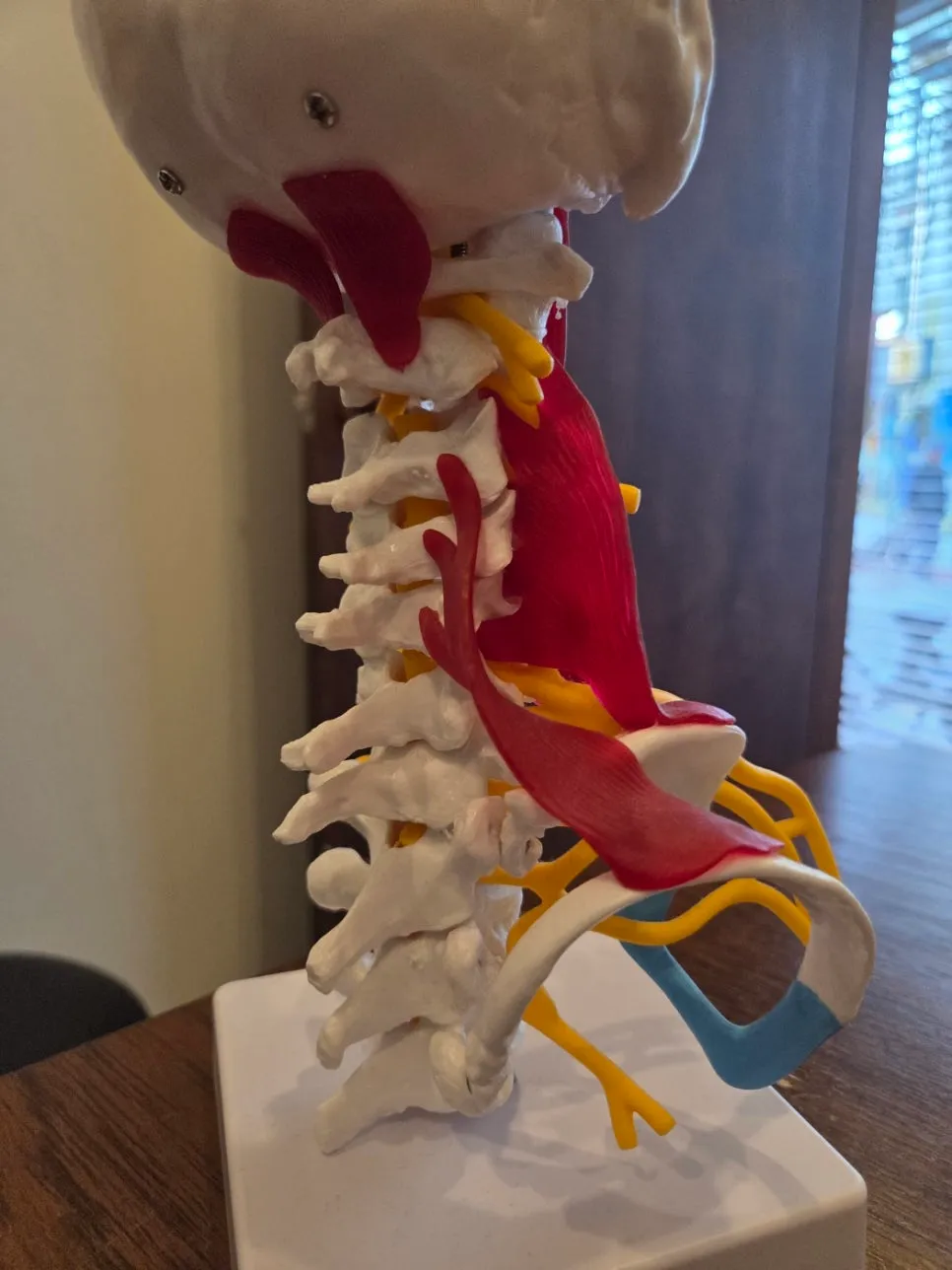 MRI, CT 검사상 문제는 없다고 하는데, 두통 / 어지러움 / 두중감 때문에 괴로우신가요?