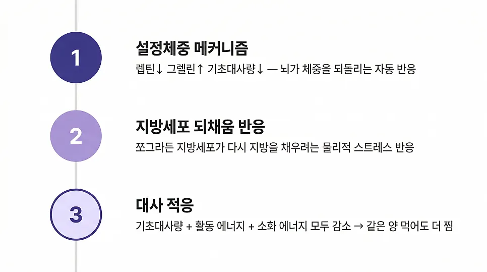 반복되는 다이어트요요, 다이어트한약은 다를까?