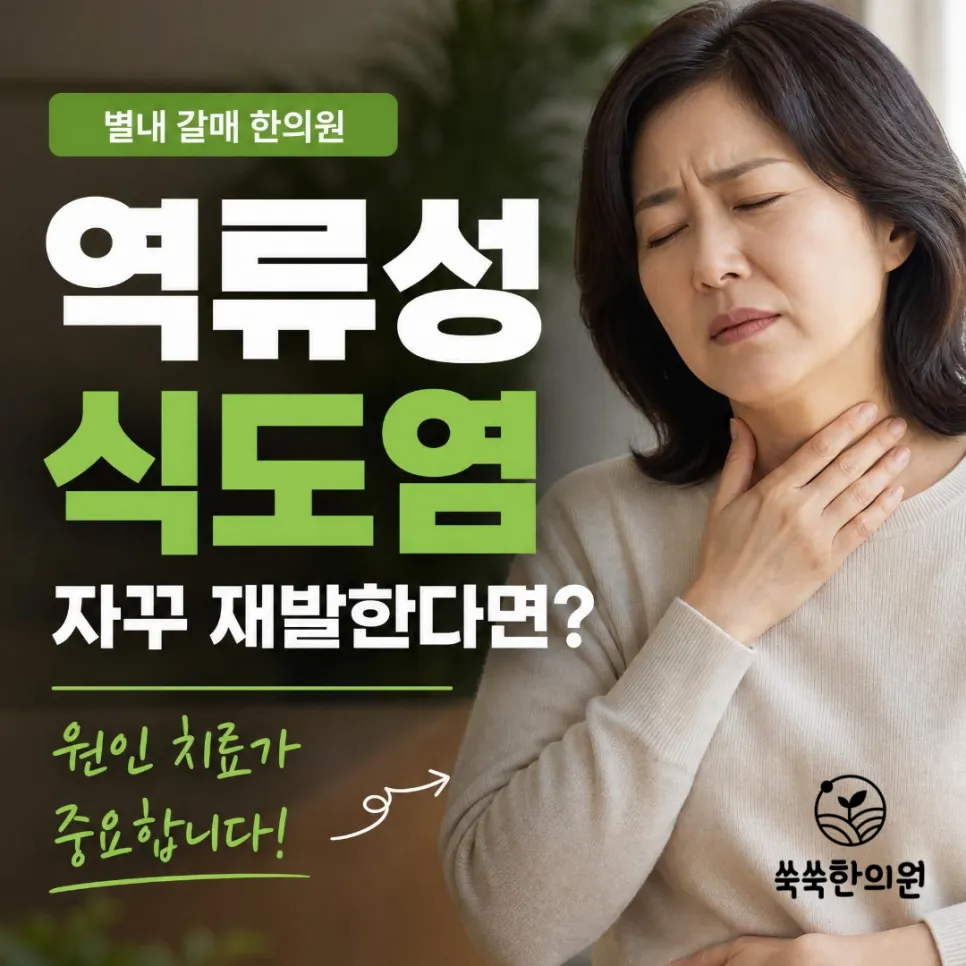별내 갈매 역류성 식도염 왜 자꾸 재발할까요? 원인부터 증상 한약치료까지