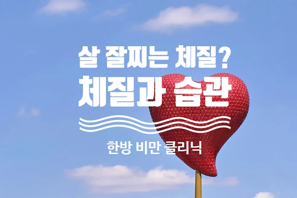 한방 비만 클리닉) 다이어트와 체질 - 살찌는 체질