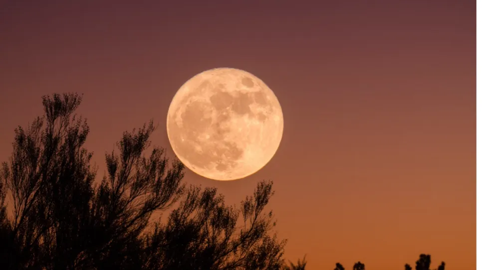 🌕 추석 선물 고민 끝! 부모님께 드리는 진짜 특별한 선물 💝