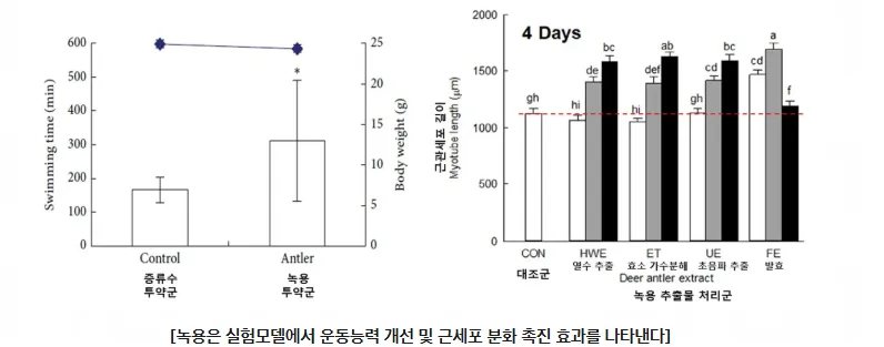 50세 이후 근육 감소, 예방 방법은?