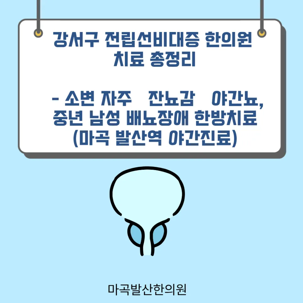 강서구 전립선비대증 한의원 치료 총정리 - 소변 자주·잔뇨감·야간뇨, 중년 남성 배뇨장애 한방치료 (마곡 발산역 야간진료)