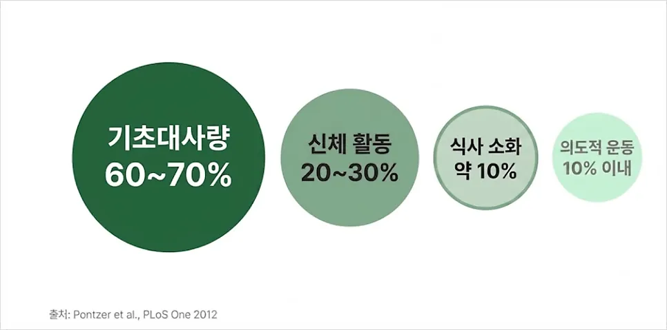굶는건 왜 안좋나요? ( 인천 구월동 다이어트 한의원 )