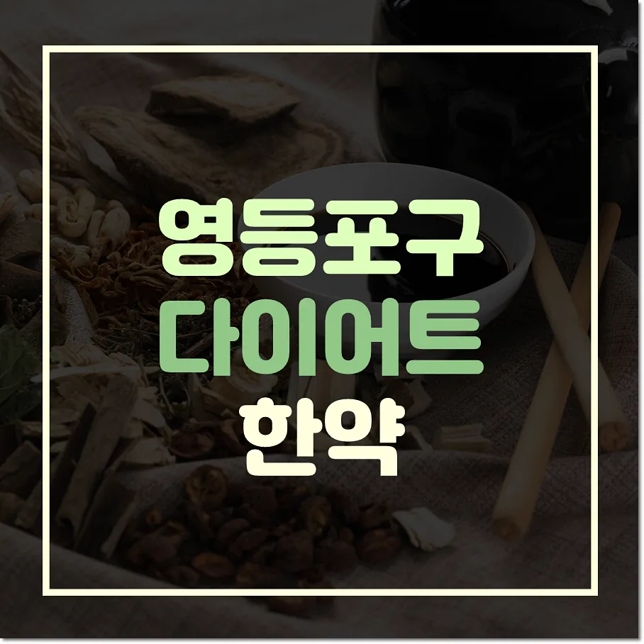 영등포구 다이어트 한약 비대면으로도 처방 가능