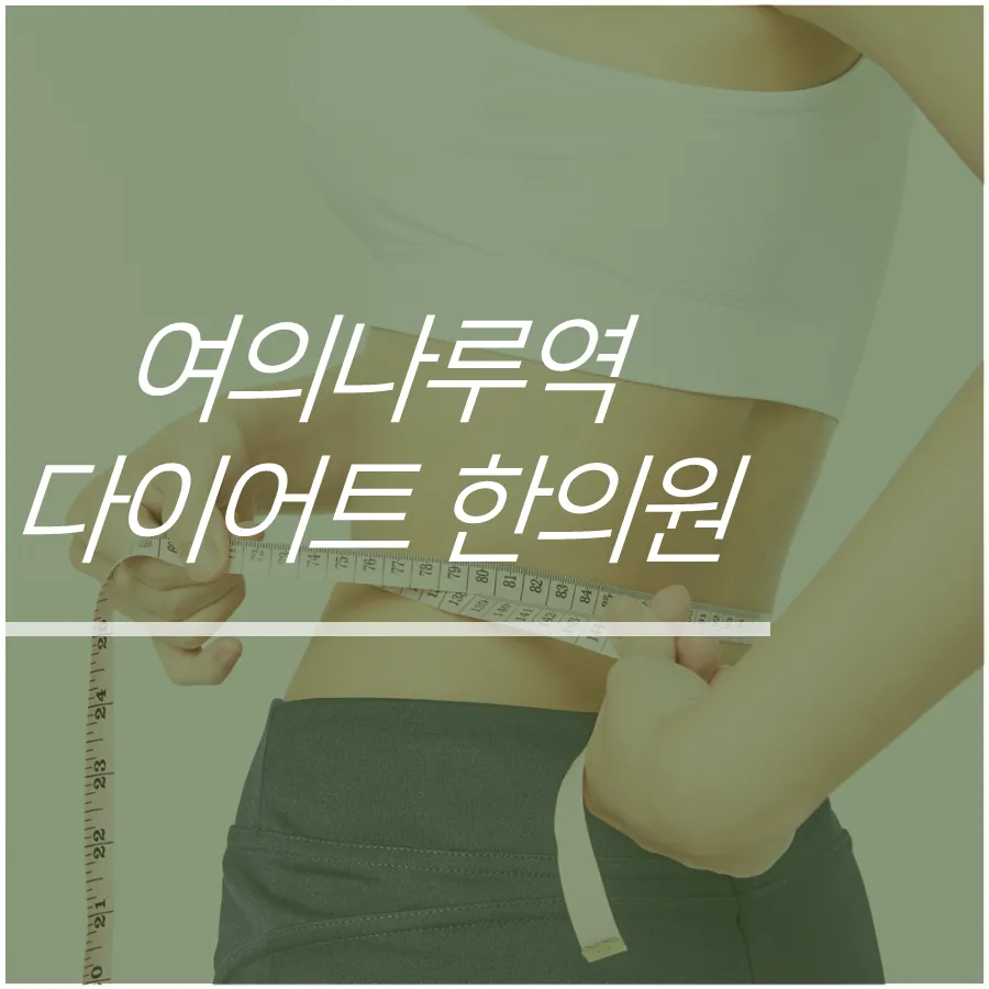 여의나루역 다이어트 한의원 효과적인 체중감량