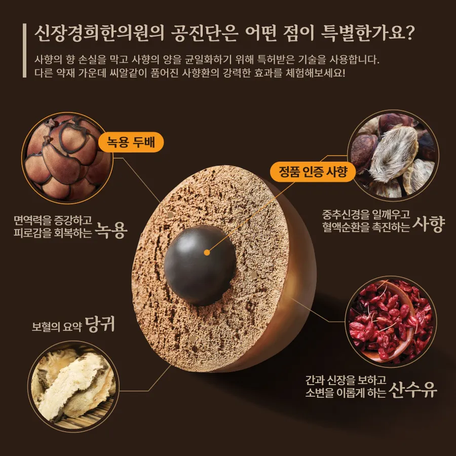 [명품 씨알공진단 vs 공진단 수壽] 공진단 성분 및 효능 전격 해부!