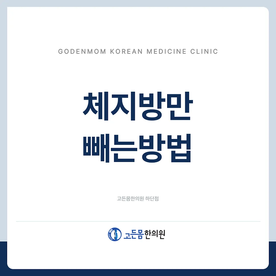 [고든몸한의원 하단점] 하단역다이어트한의원 oo만 하면 체지방만 뺍니다.