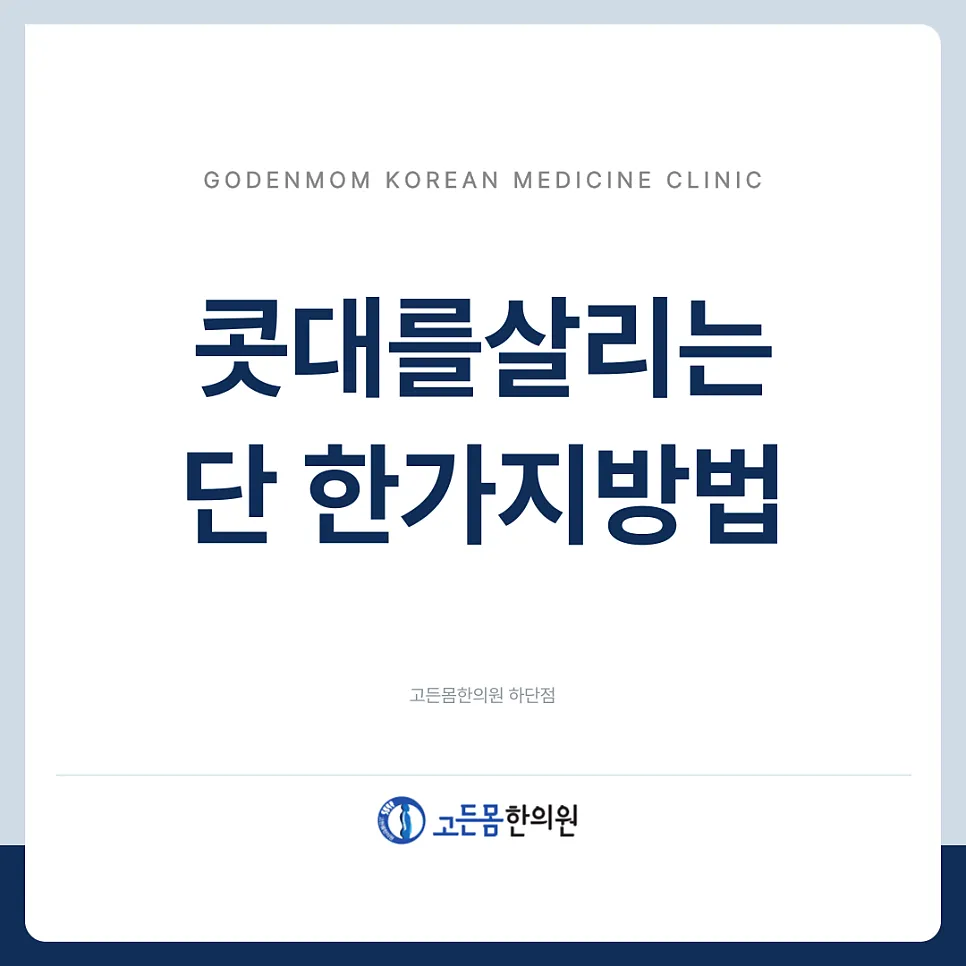 [부산코실리프팅] 콧대를 만드는 단 한가지 방법