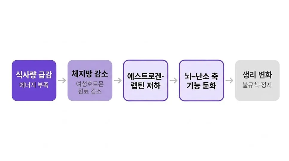 다이어트하다 생리가 불규칙해졌어요, 괜찮은 건가요?