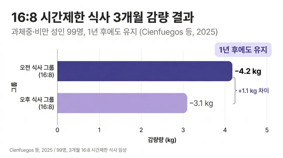 간헐적단식 효과? 하고 있는데도 살 안빠지는 이유