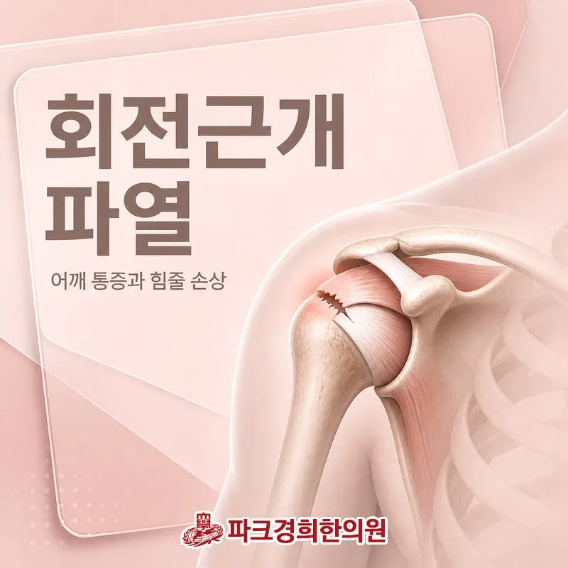 춘천 온의동 추나요법 한의원, 회전근개파열 많이 움직이다 어깨 힘줄이 닳았어요