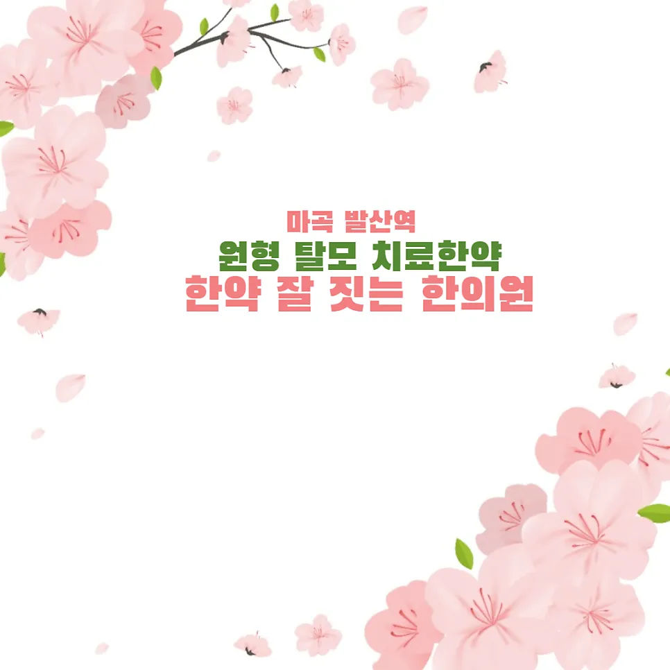 마곡 발산역 원형 탈모 한의원 치료 한약