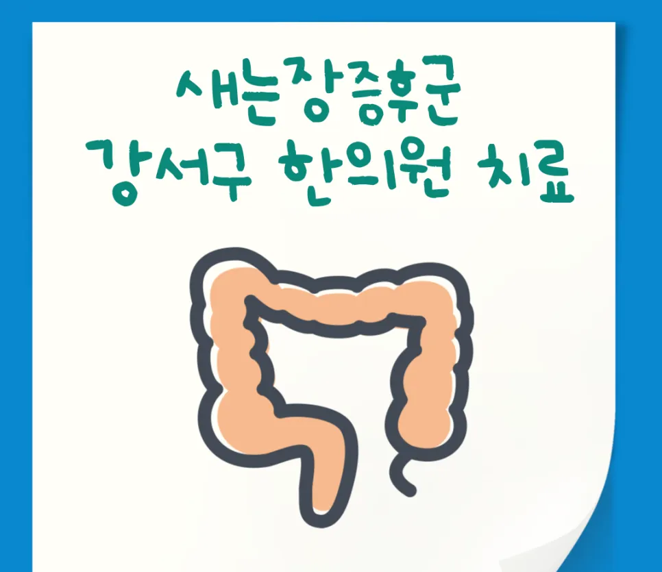 새는장증후군 강서구 한의원 치료