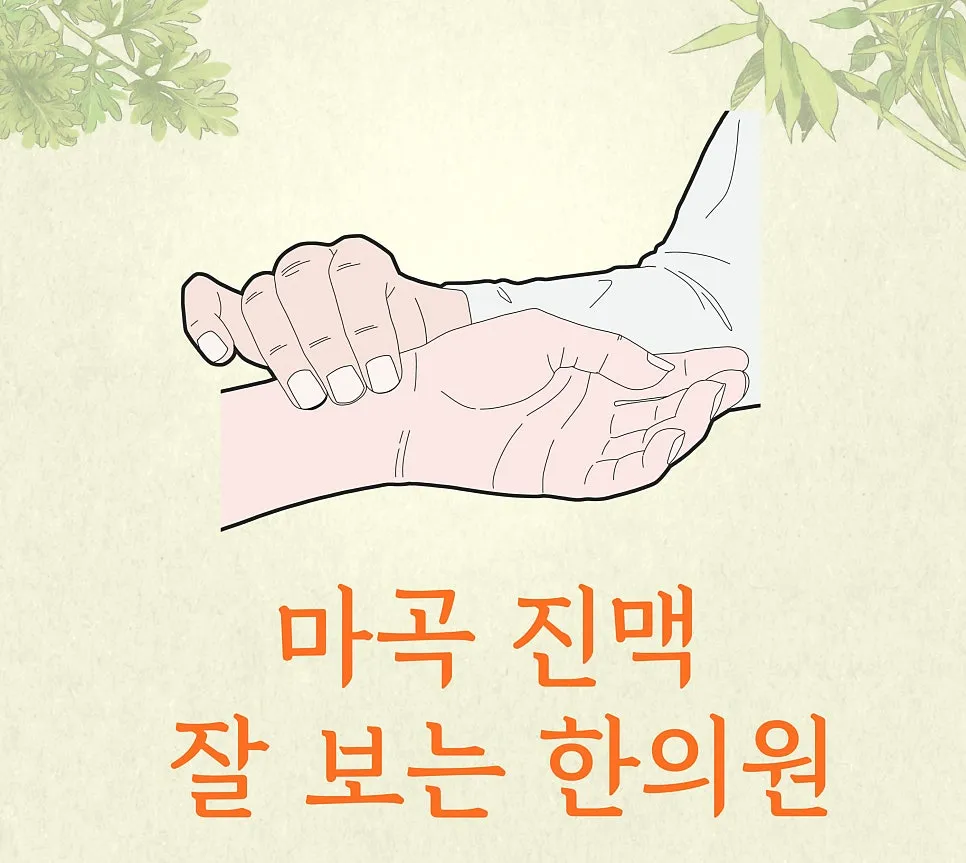 마곡 진맥 잘 보는 한의원 맥진법