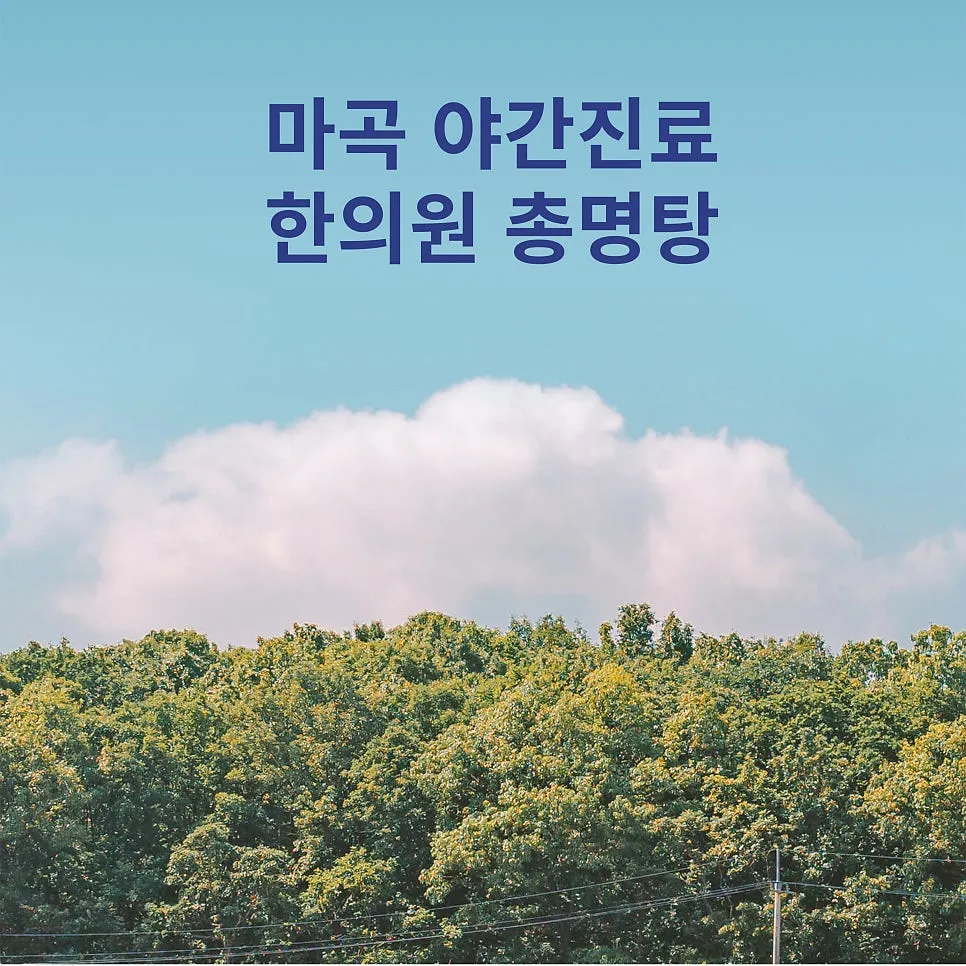 마곡 야간진료 한의원 총명탕 연구와 효과