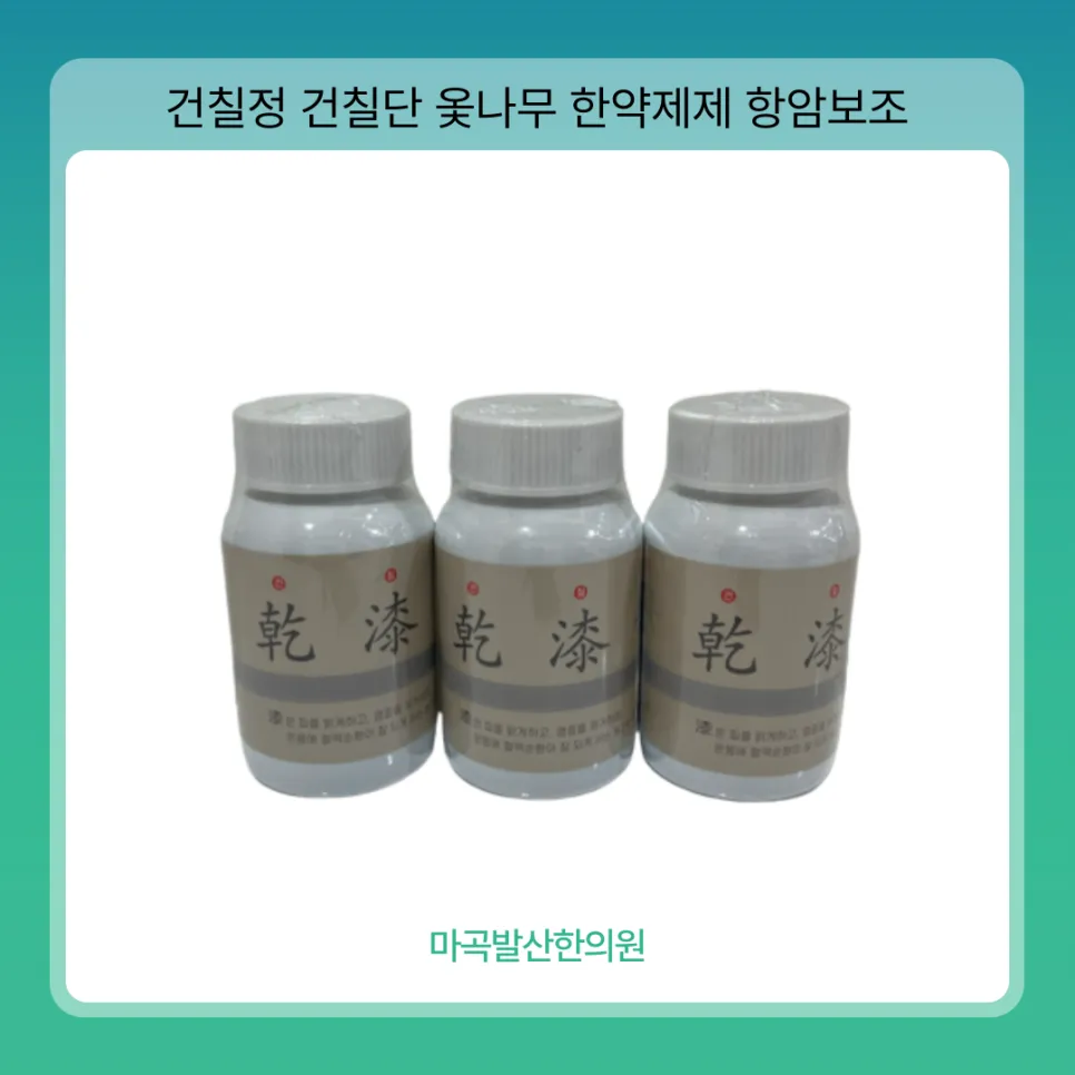 건칠정 건칠단 옻나무 한약제제 항암 보조