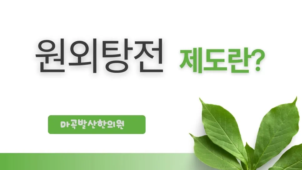 강서구 한의원 원외탕전 제도란? 역사와 보건복지부 인증제