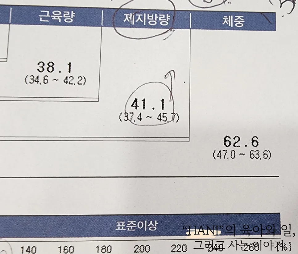 아주대 다이어트 간편하게 하루 세 번 이것만