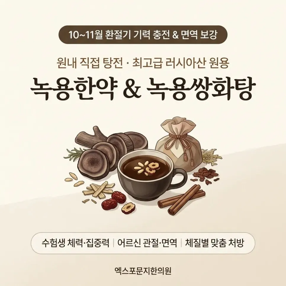 "아침마다 몸이 천근만근인데 보약 한 제 먹어볼까요?" 찬 바람 불 때 먹는 녹용한약과 녹용쌍화탕, 진짜 효과가 다를까?