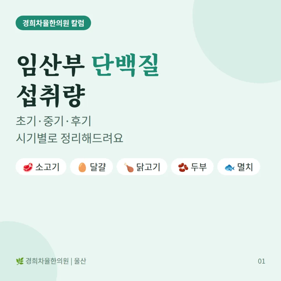 임산부 단백질 섭취량, 초기·중기·후기 시기별로 정리해드려요 ㅣ경희차율한의원 울산점