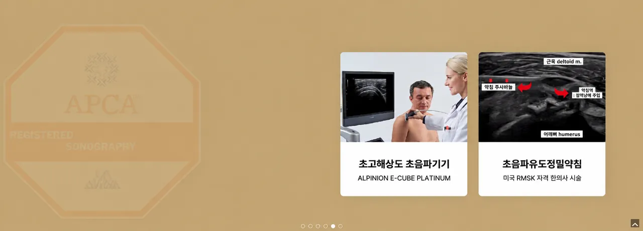 초음파 유도 정밀약침