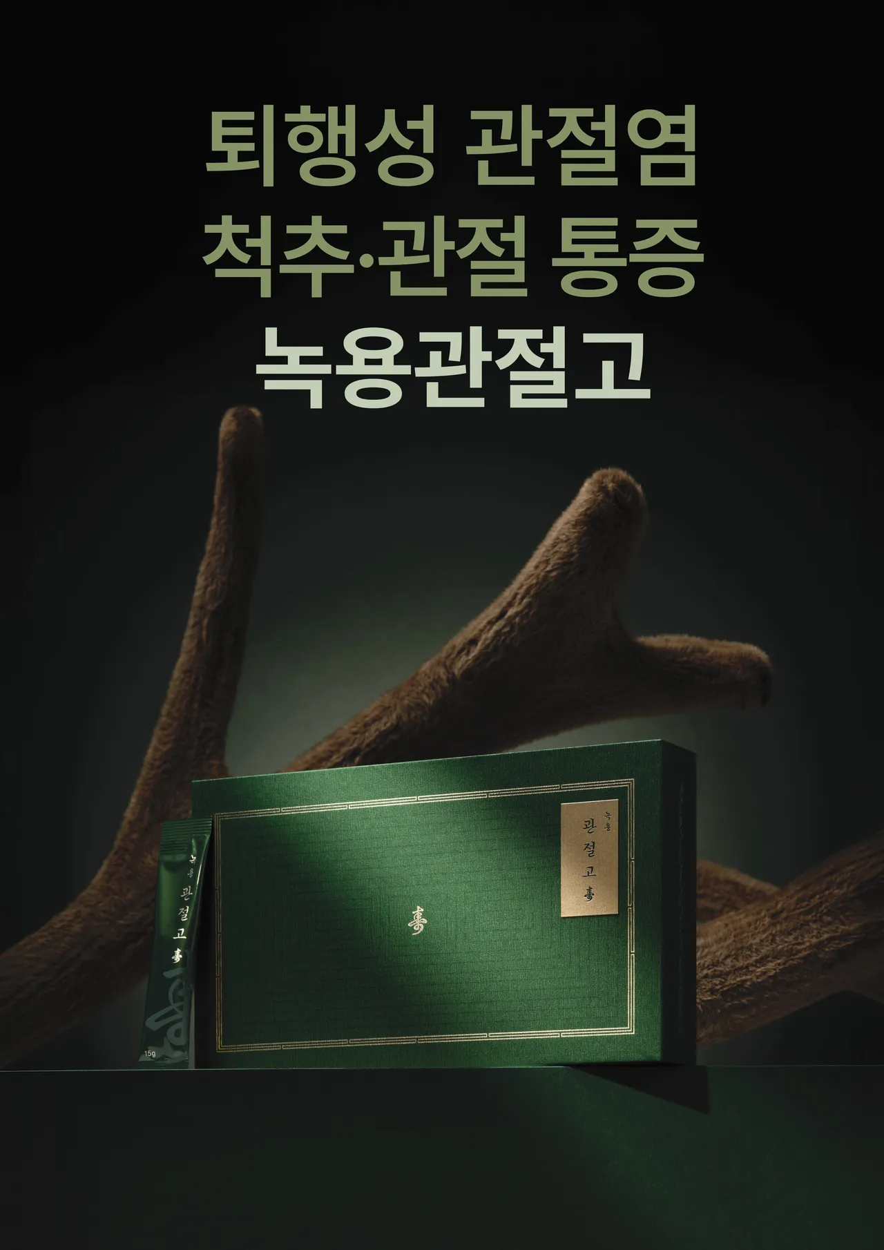 갤러리 이미지