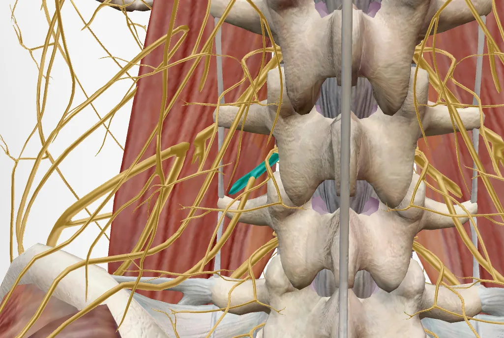 cover-pain-1.jpg