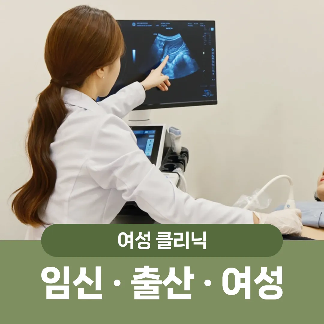 여성 · 임신 · 출산